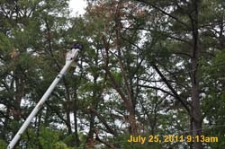 Entergy 047